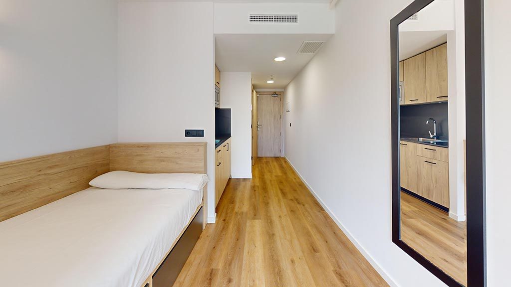 Burjassot Parque - Single room with kitchen, photo 3 of 12